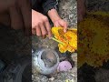 #honeybeedance #bee #honeybeesting