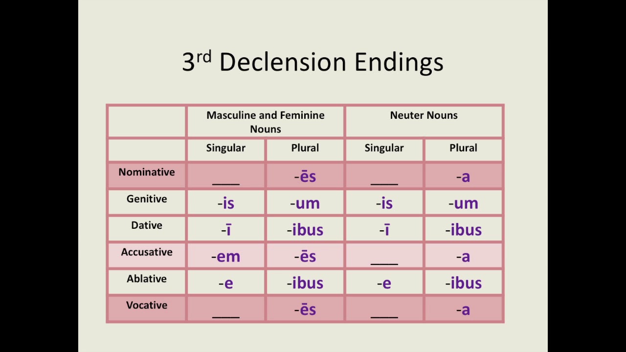 latin-first-declension-nouns