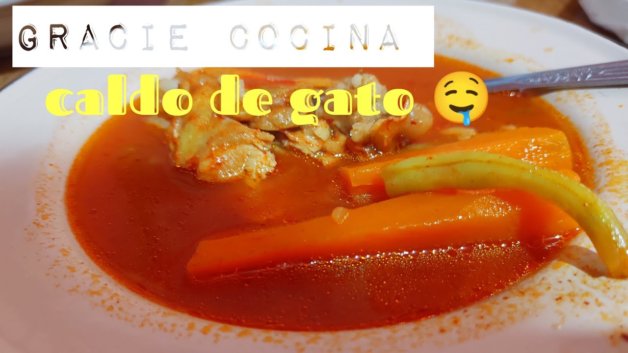 CALDO DE GATO - YouTube