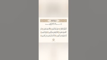 سورة التكاثر 102 تلاوة الشيخ سعد الغامدي