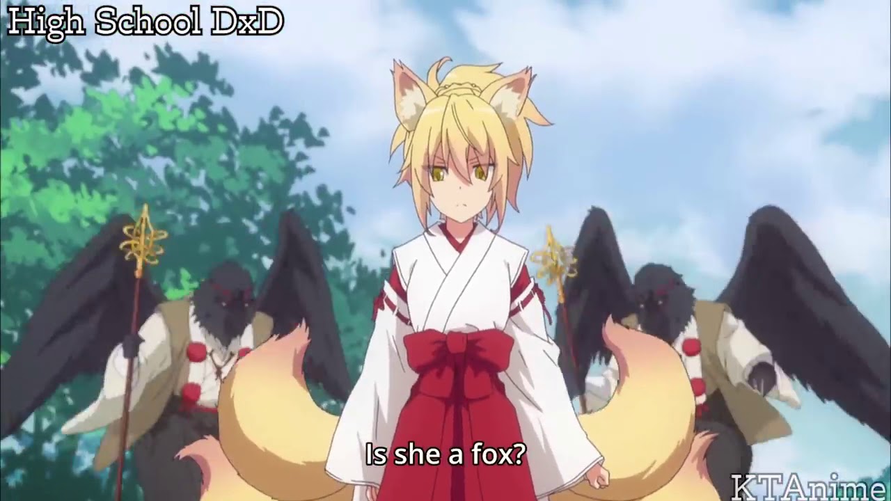 Sister fox. Куно kunou. DXD kunou. DXD Hero kunou.