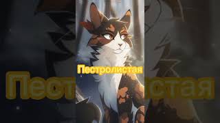 коты-воители эдит Сол, Серебрянка, Пестролистая, Белогривка и Белка #warriorcats #котывоители #кв