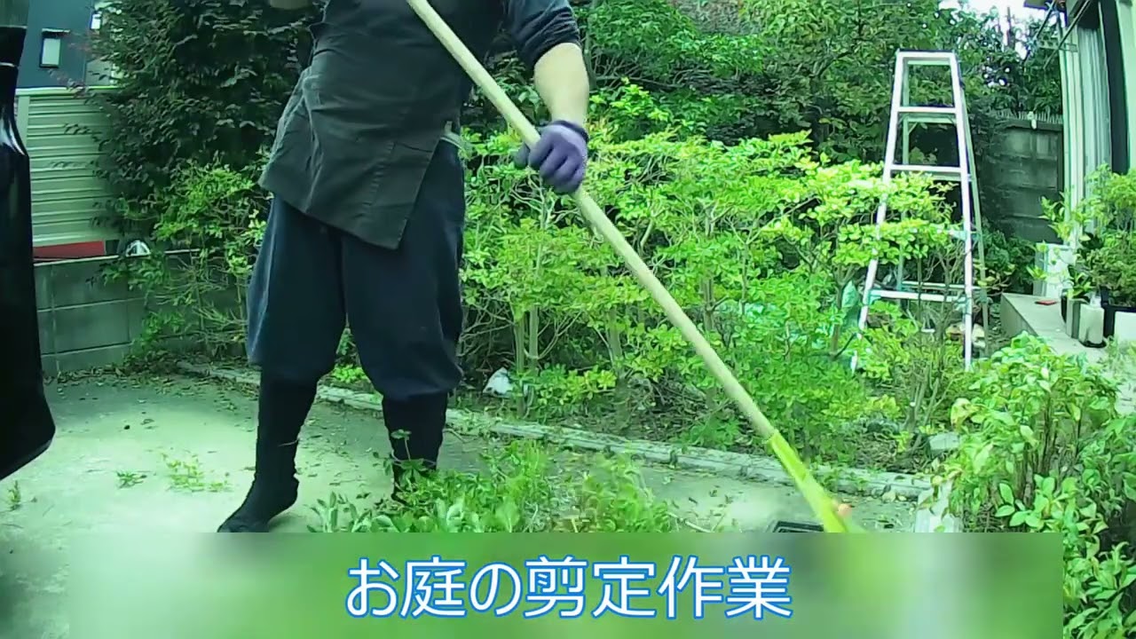 【東京の植木屋（練馬・杉並・中野）】ぼの植木の庭仕事の作業例「お庭の剪定」