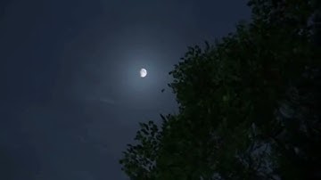 سورة القمر بتلاوة جميلة - هيثم الدخين ✨ .
