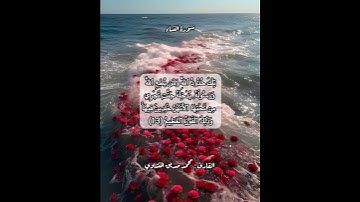 سورة النساء ١٣ #قرآن #قرآن_كريم #قران #قران_كريم #قرأن #quran