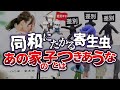 部落差別・後編《怖い？》同和問題の問題（逆差別・エセ同和とは何か？）