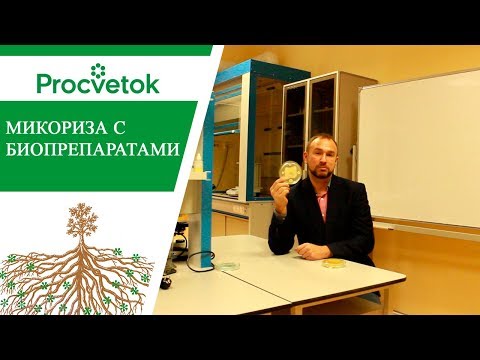 Факт. Биопрепараты подавляют микоризу.