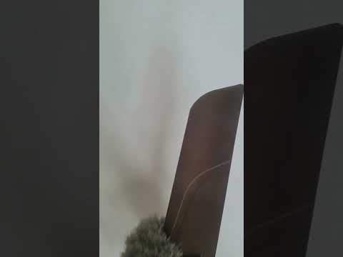 Useful Home Tools | Cleaning Tool |#shorts
