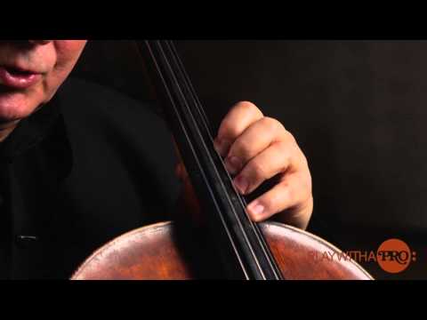 Cello articulation with Ralph Kirshbaum, online cello lessons