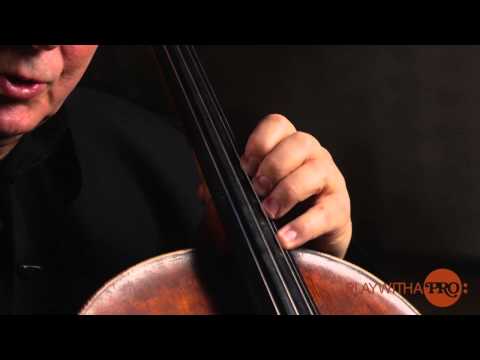 Cello articulation with Ralph Kirshbaum online cello lessons