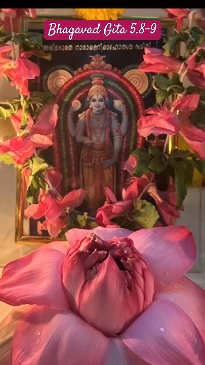 Bhagavad Gita 5 8 9 Chapter 5 Verse 8 9 Gita gitachanting bhagavad-gita-telugu-classes-chapter-5-verse-8-karma-sanyasa-yogam