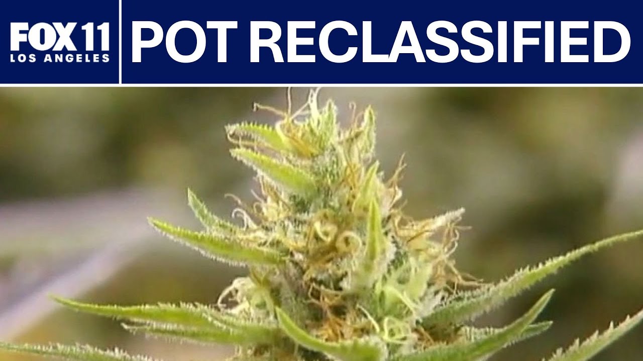 Marijuana downgraded to Schedule III: What this means | FOX 11 LA