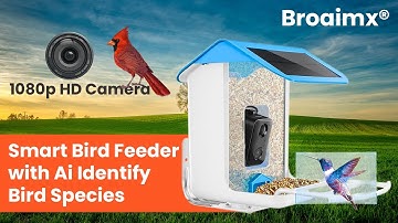 BROAIMX Smart Bird Feeder Camera ai