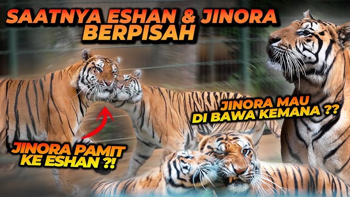 MMM biseksual jinsiy aloqa