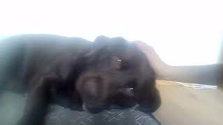 VID 20260814 133007