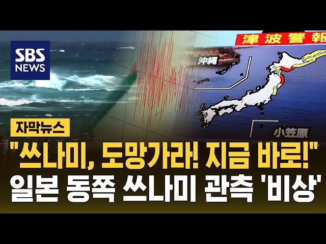 "쓰나미, 도망가라! 지금 바로!"..일본 혼슈 동쪽 해역 강진에 쓰나미 관측 (자막뉴스) / SBS