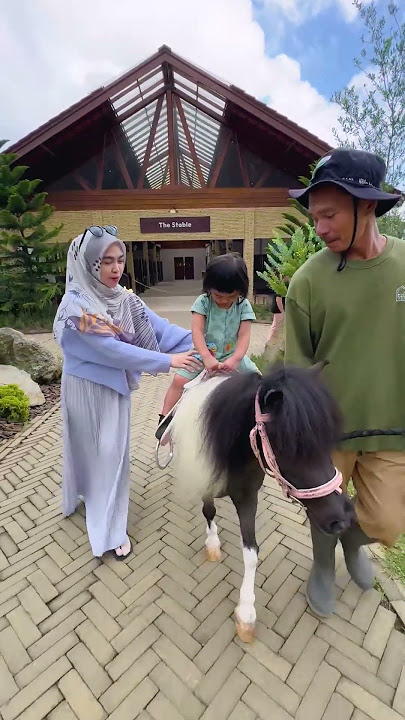 AMAZING BABY 2 YO naik kuda sendiri..