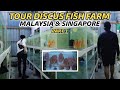 Tour discus fish farm malaysia  singapore  part 1