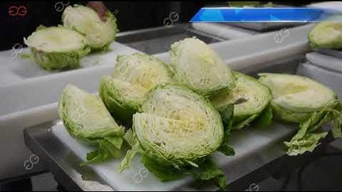 New Salad Vegetble Washing Cutting Machine Processing Line