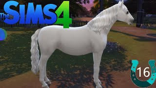 The Sims 4 Horse Ranch (Part 16) I Secretly Did This