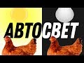 ЗАЧЕМ И КАК ПРОДЛИТЬ СВТОВОЙ ДЕНЬ КУР?