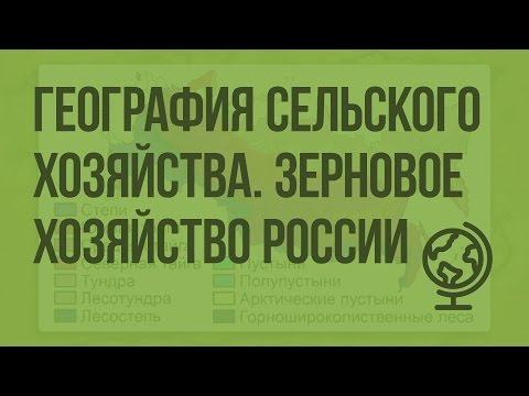 География сельского хозяйства, зерновое хозяйство России. Видеоурок по географии 9 класс