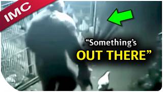 The Most Mind Blowing Bigfoot S The Internet Cant Explain