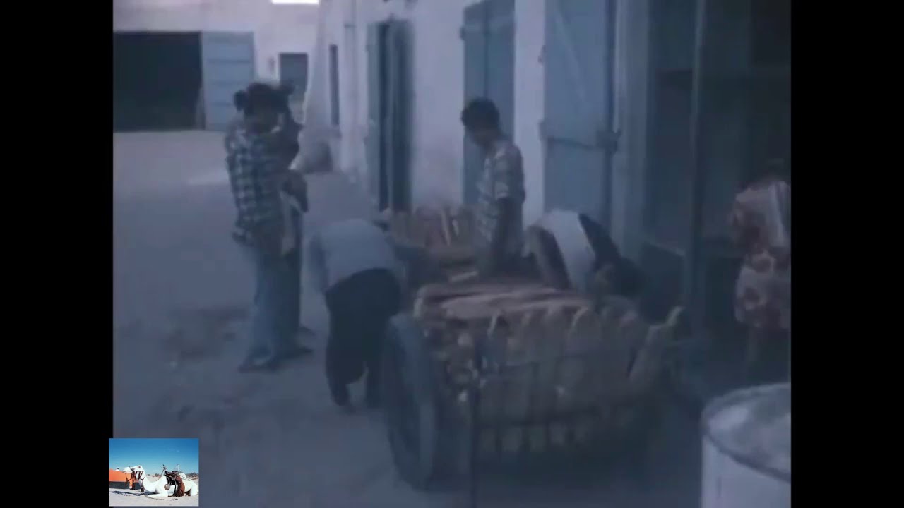 فيديو نادر لمدينة وادي سوف 1977 تظهر فيه رحبة اليهود وسوق الأعشاش