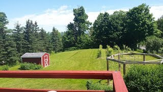 Enjoying a be-A-utiful day in the country