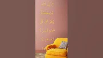 ايه رقم ٤من سورة هود.. بصوت الشيخ ابو بكر الشطرى