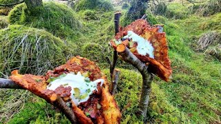 🔥Very Crunchy Hash Browns with Chicken and Bacon cooked in nature ! ASMR Cooking