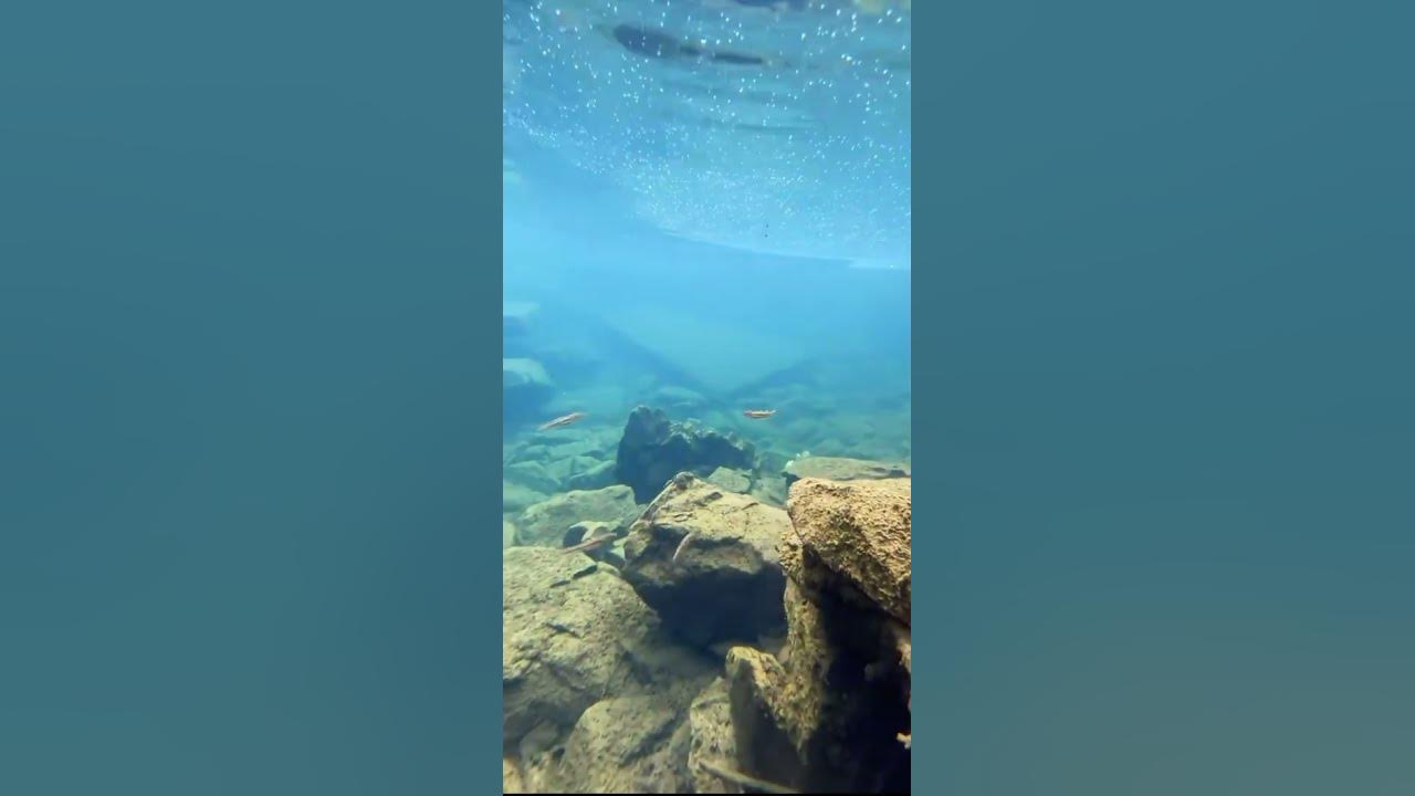 iPhone под водой. Айфон 14 Можно ли опускать айфон в воду - YouTube