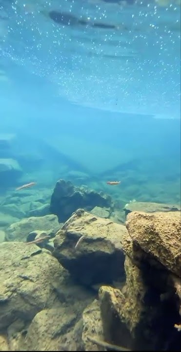 iPhone под водой. Айфон 14 Можно ли опускать айфон в воду - YouTube
