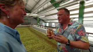 From Farm to Pint Glass: Hop Drying
