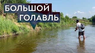 Поймал своего РЕКОРДНОГО голавля на НАХЛЫСТ (Смотреть до конца!)