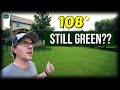 This GRASS TYPE Changed Everything // Fescue, Bluegrass Woes, New Property and Garden Update