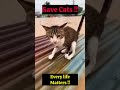 Every lives Matters 🤞 #cat #cats #pets #pet #kitten #kitty #save #love #life #vetlife #rescue #god