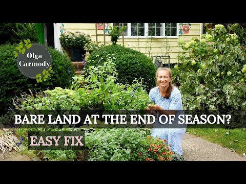 From ZERO to HERO: Transforming Bare Land, Season’s End Style!