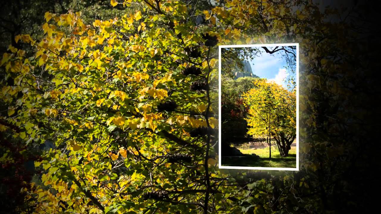 Cave Creek Ranch in Portal Arizona