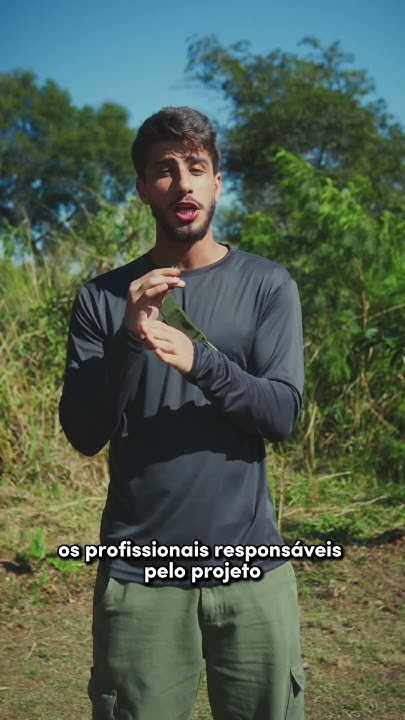 Hora da aula prática