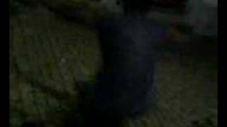 nanado dança rebolation.avi