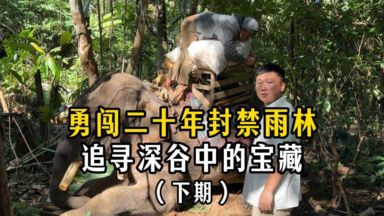 勇闯二十年封禁雨林，追寻深谷中的宝藏（下期）