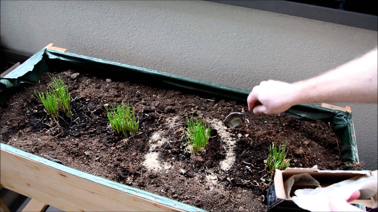 Vogeldnger - Seevogel Guano aus Sdamerika - Balkon Garten Tipps