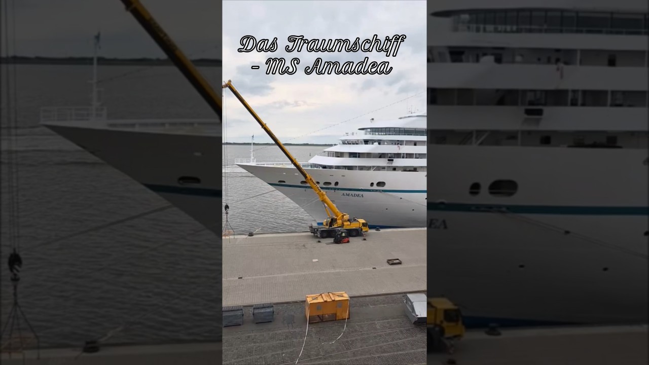 Traumhaft! Das Traumschiff MS Amadea von Phoenix Reisen in Bremerhaven Kreuzfahrtschiff Cruise