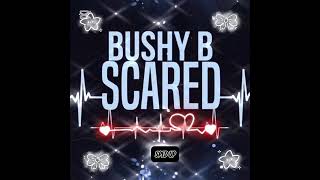 Scaredbushy Bsped Up