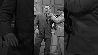 Moes Just A Victim Of The Circumstance! @threestooges