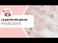 Ecco una parola giapponese che senti sempre nelle sigle degli anime 【まぶしい】