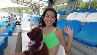 Bodrum Güvercinlik Dolphin Park