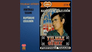 Yılmaz Güney İçin Aşıklar Ne Dedi - Yılmaz Yılmaz — Feyzullah Çınar kapak görseli