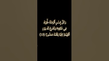 صوت القارئ / ياسر الدوسري (تلاوة مؤثرة )